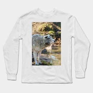 Gray Wolf Long Sleeve T-Shirt